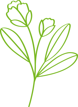 Decorazione